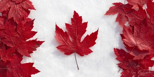 leaf_flag_1200x600_wm-1024x512